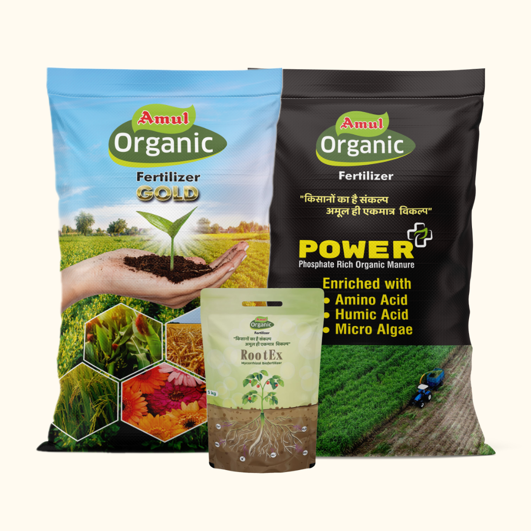 Powder & Granular Organic Fertilizers